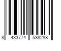 Barcode Image for UPC code 8433774538288