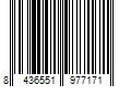 Barcode Image for UPC code 8436551977171