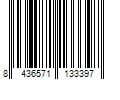 Barcode Image for UPC code 8436571133397