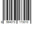 Barcode Image for UPC code 8594073173010