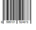 Barcode Image for UPC code 8595101524873