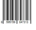 Barcode Image for UPC code 8595159847313