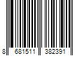 Barcode Image for UPC code 8681511382391