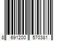 Barcode Image for UPC code 8691200570381