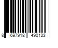 Barcode Image for UPC code 8697918490133