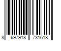 Barcode Image for UPC code 8697918731618