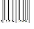 Barcode Image for UPC code 8713184161666