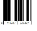 Barcode Image for UPC code 8718317928307