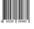 Barcode Image for UPC code 8800261890660