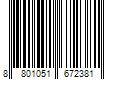 Barcode Image for UPC code 8801051672381