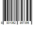 Barcode Image for UPC code 8801062857395