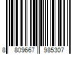 Barcode Image for UPC code 8809667985307