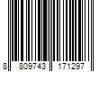 Barcode Image for UPC code 8809743171297