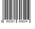 Barcode Image for UPC code 8902281606204