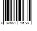 Barcode Image for UPC code 8904004405729