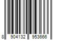 Barcode Image for UPC code 8904132953666