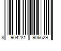 Barcode Image for UPC code 8904281906629