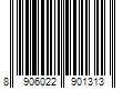 Barcode Image for UPC code 8906022901313