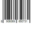 Barcode Image for UPC code 8906069650731