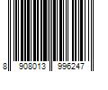 Barcode Image for UPC code 8908013996247