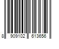 Barcode Image for UPC code 8909102613656