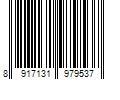 Barcode Image for UPC code 8917131979537