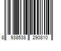 Barcode Image for UPC code 8938538290810