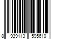 Barcode Image for UPC code 8939113595610