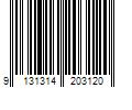 Barcode Image for UPC code 9131314203120