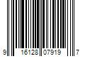 Barcode Image for UPC code 916128079197