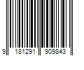 Barcode Image for UPC code 9181291909843